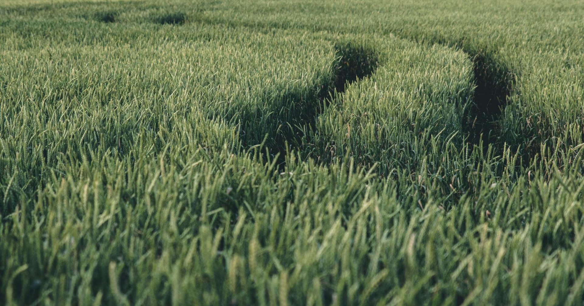 farming