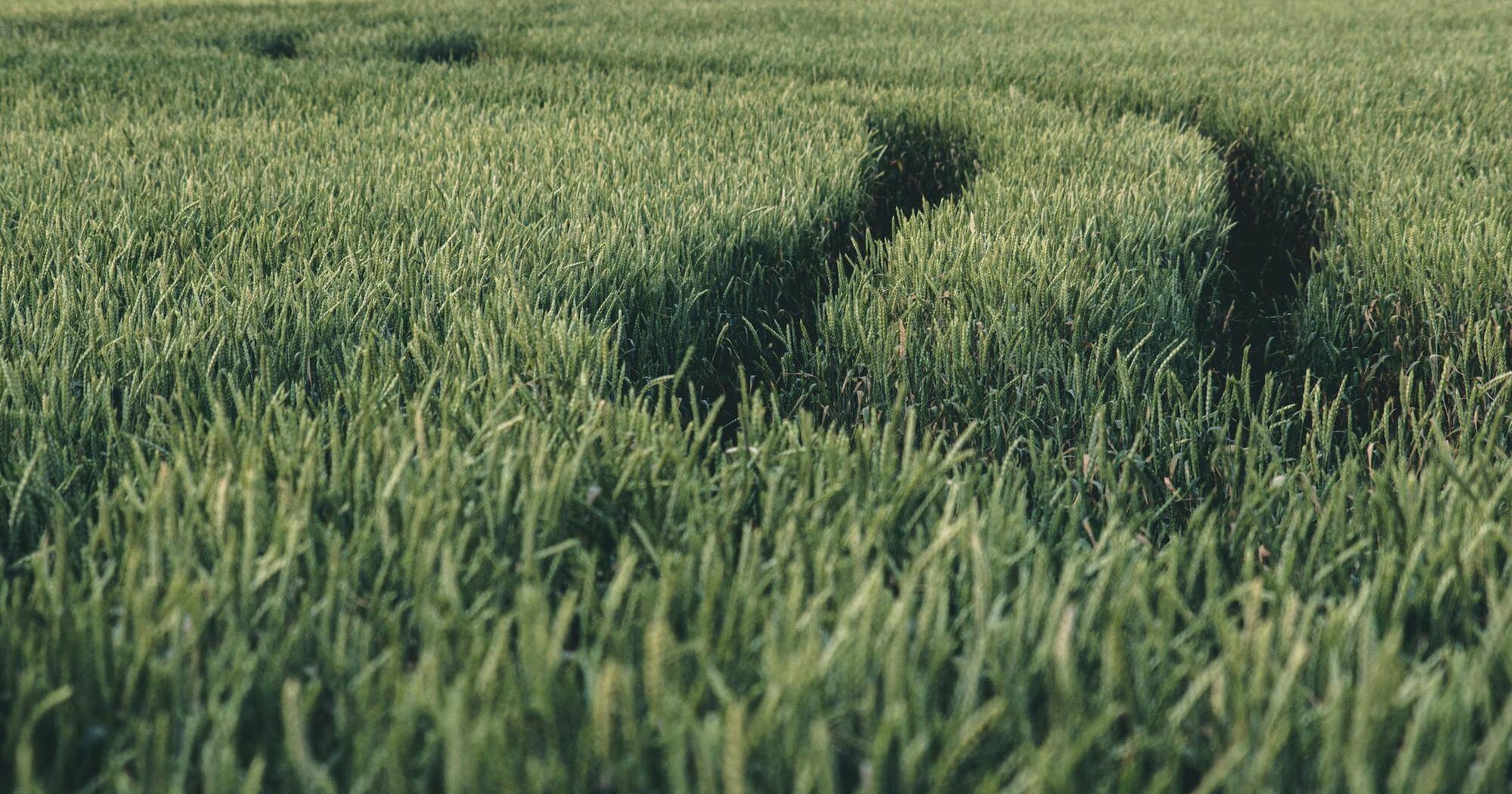 farming